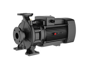 Насос центробежный FANCY FST 100-315/1100 FANCY FST 100-315/1100